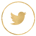 Social Media Icon